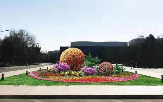 節(jié)日花壇