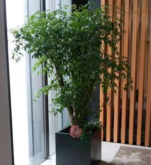 微信圖片_20220520162737