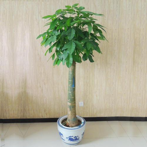 9425810,3674357426&fm=26&gp=0