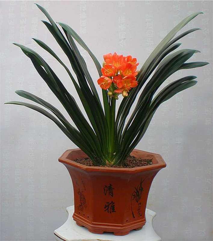 微信圖片_20180918201706