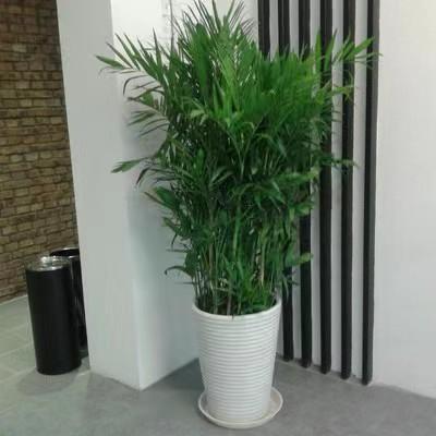 微信圖片_20220520162904