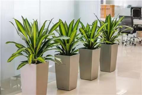 微信圖片_20220704140846